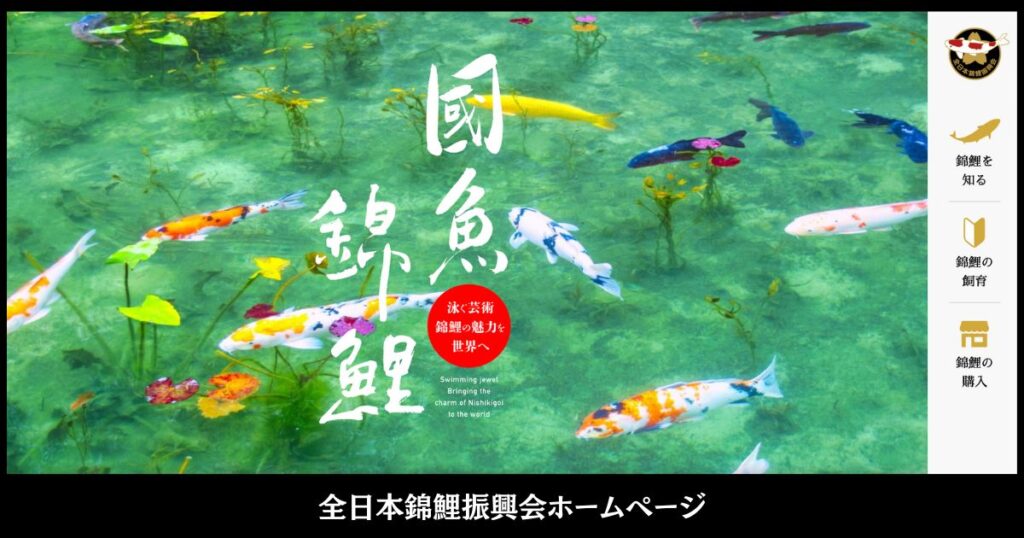 全日本錦鯉振興会