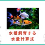 錦鯉を水槽飼育する水量計算式と60cm〜90cm水槽で飼育できるサイズ