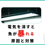 水槽の電気を消すと魚が暴れる