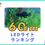 60cm水槽LEDライトランキング