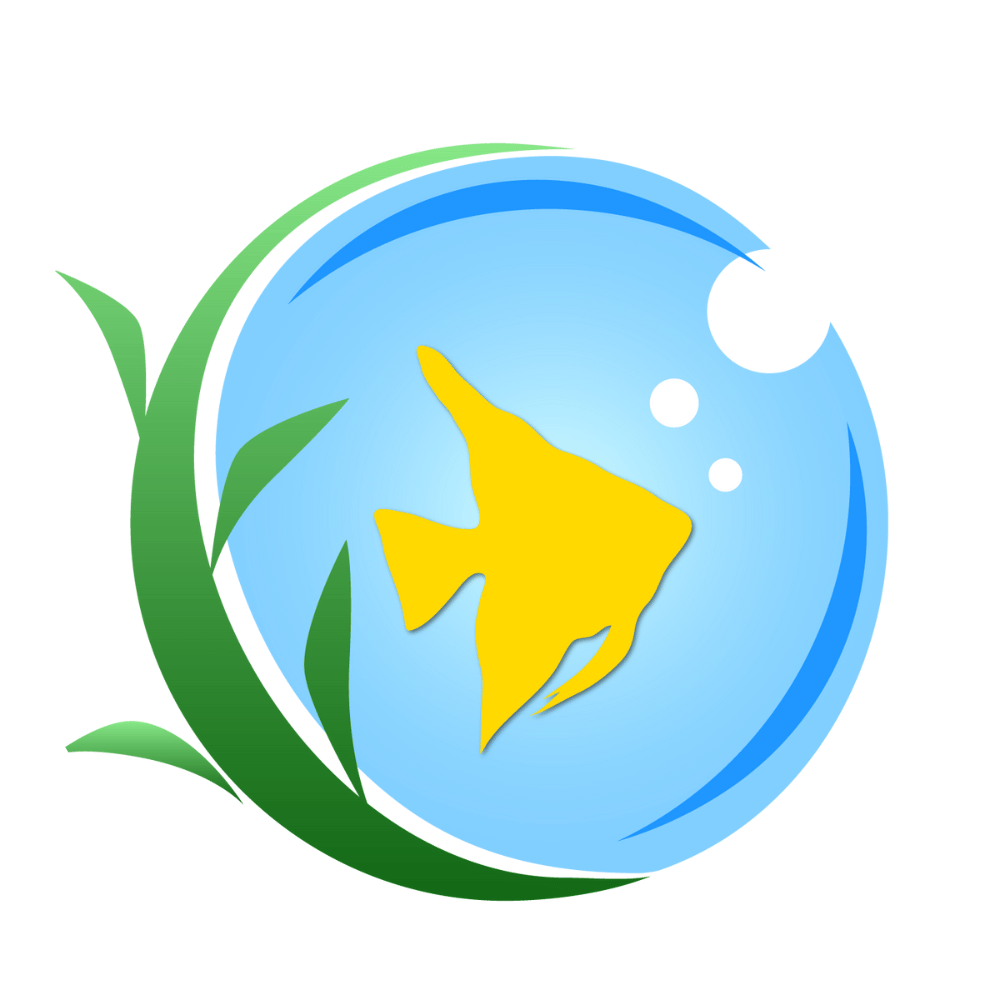 アクア編集室のアバター