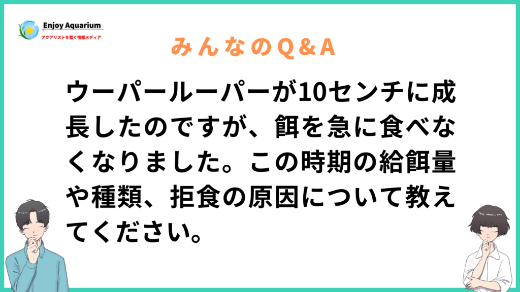 ウーパールーパー 10 センチ 餌