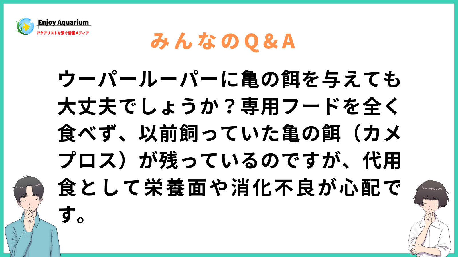 ウーパールーパー 亀の餌