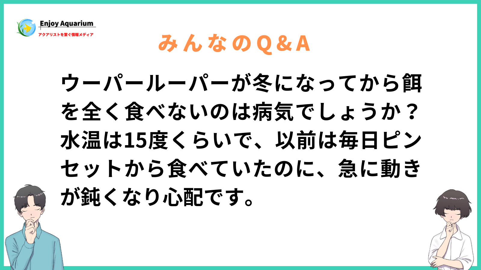ウーパールーパー 冬 餌 食べない