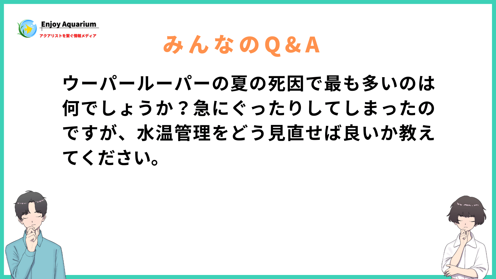 ウーパールーパー 夏 死因