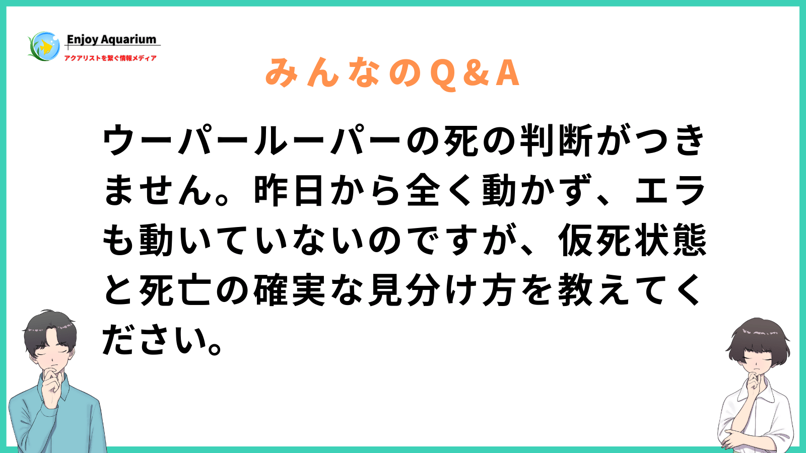 ウーパールーパー 死 判断