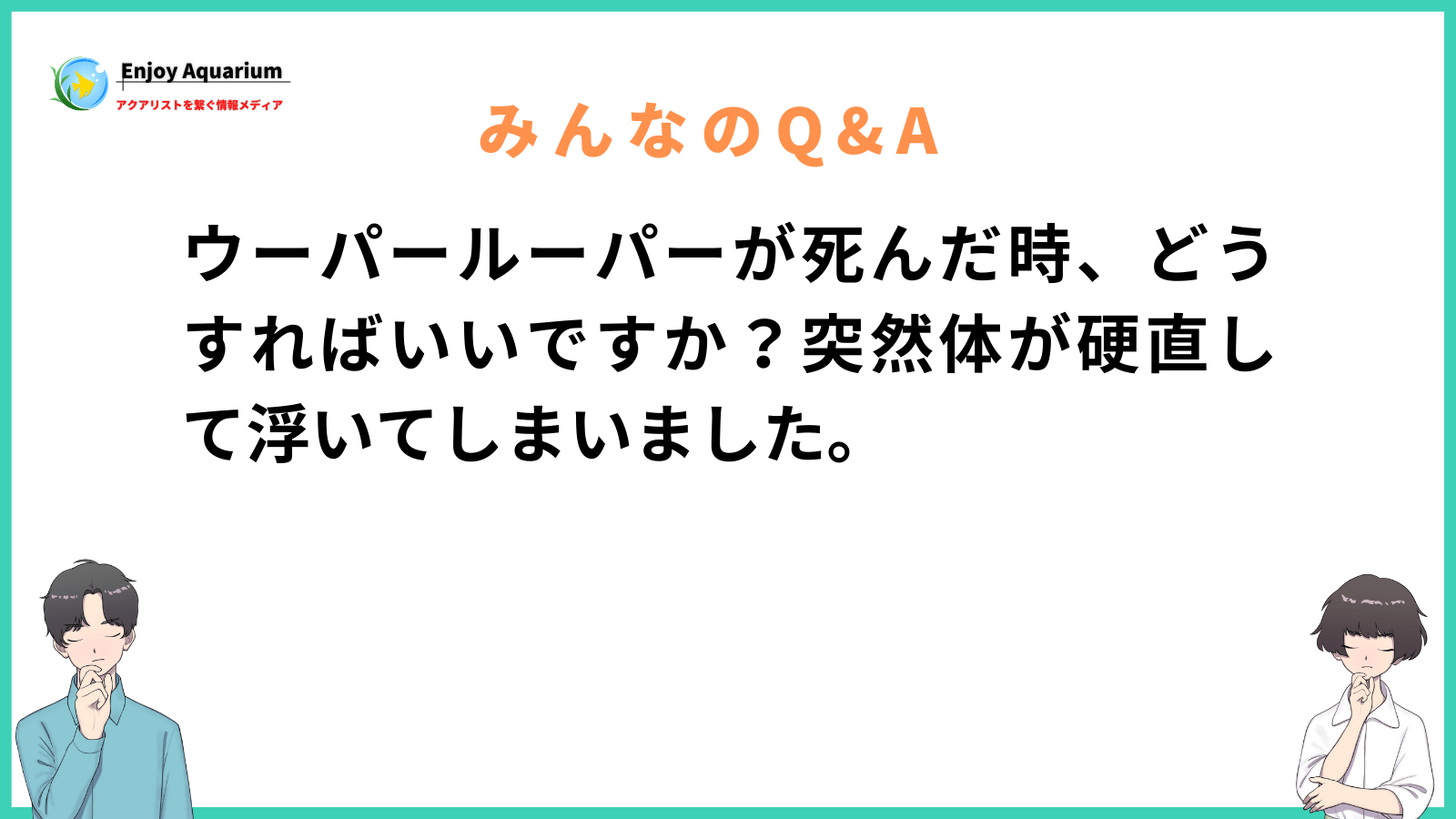 ウーパールーパー 死ん だ 時