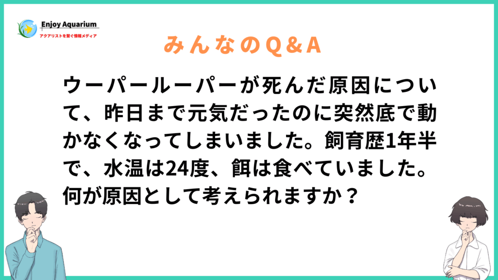 ウーパールーパー 死んだ