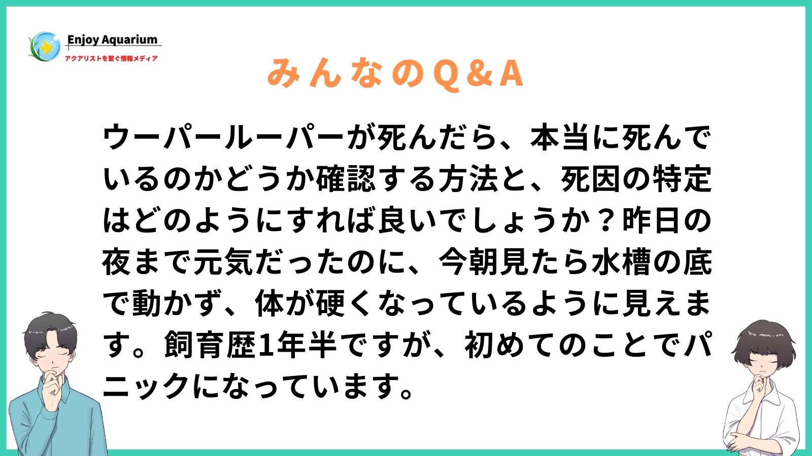 ウーパールーパー 死んだら