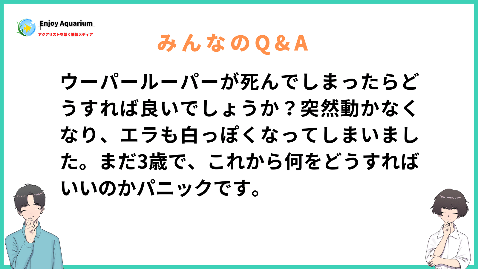 ウーパールーパー 死んだらどうする