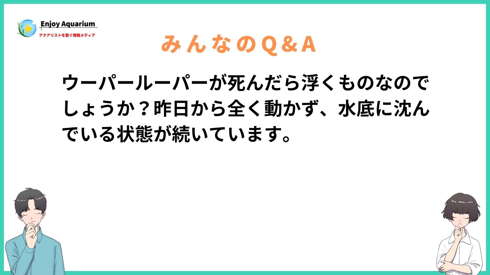 ウーパールーパー 死んだら浮く