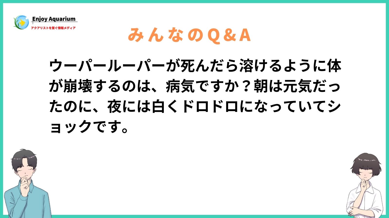 ウーパールーパー 死んだら溶ける