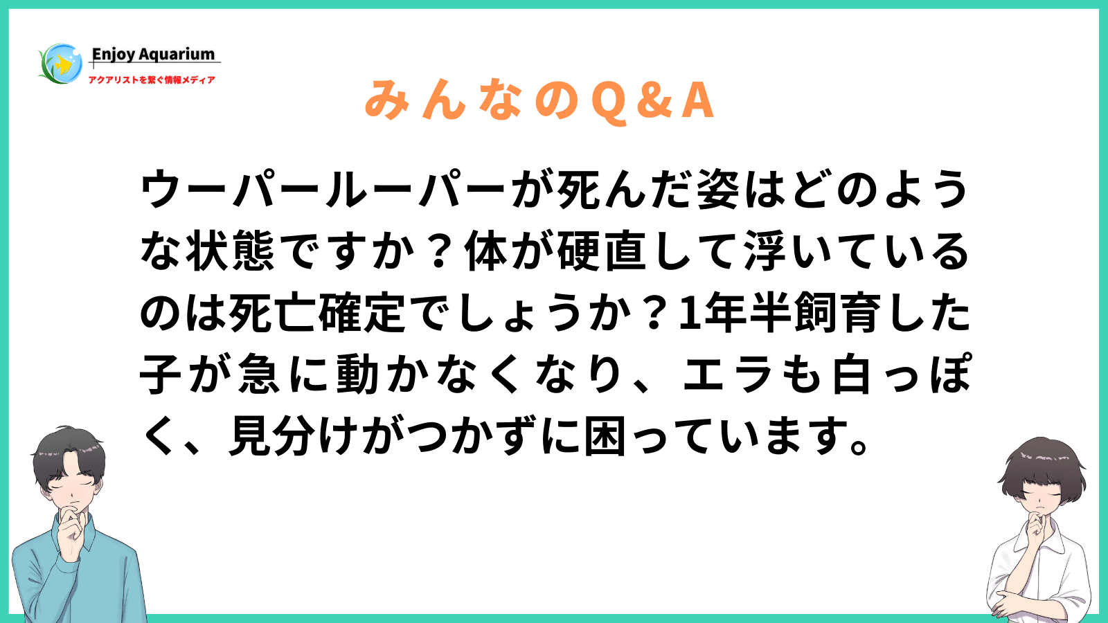 ウーパールーパー 死んだ姿