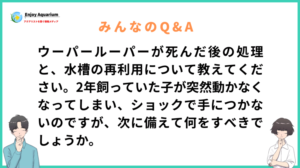 ウーパールーパー 死んだ後