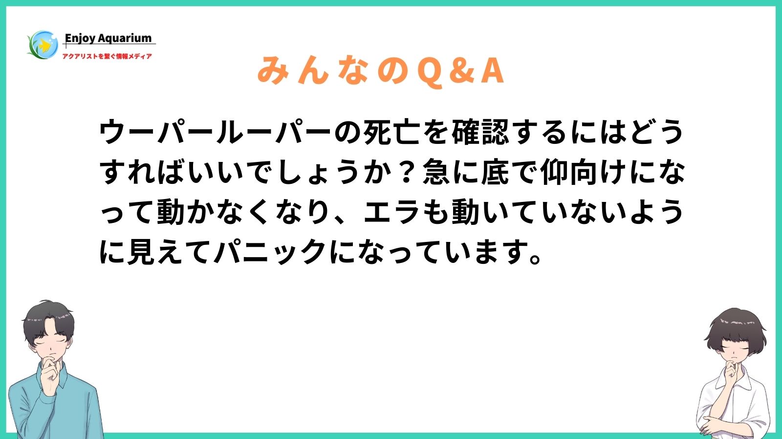 ウーパールーパー 死亡 確認