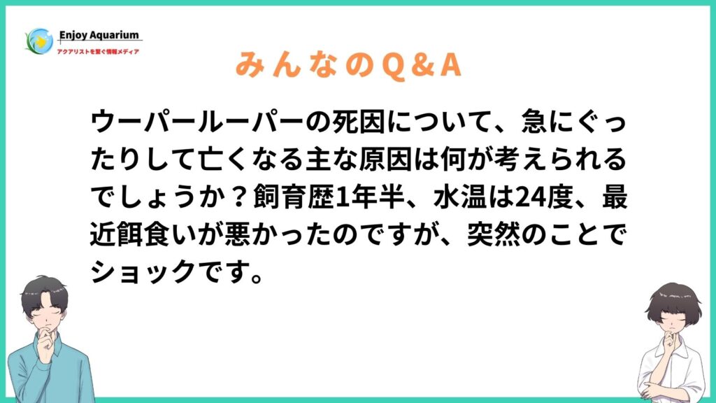 ウーパールーパー 死因
