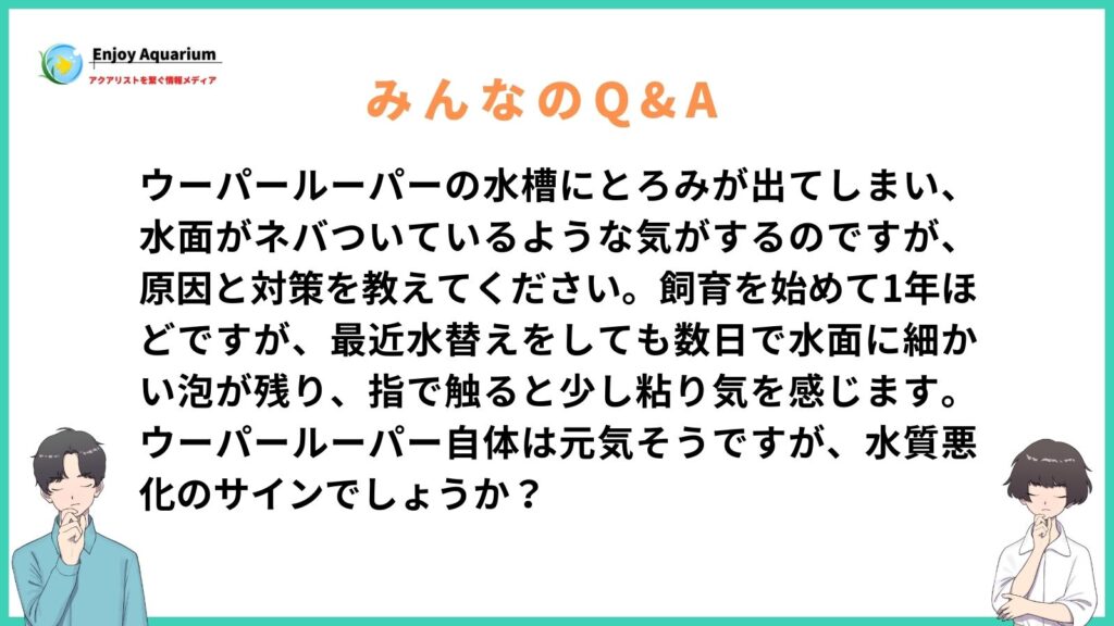 ウーパールーパー 水槽 とろみ