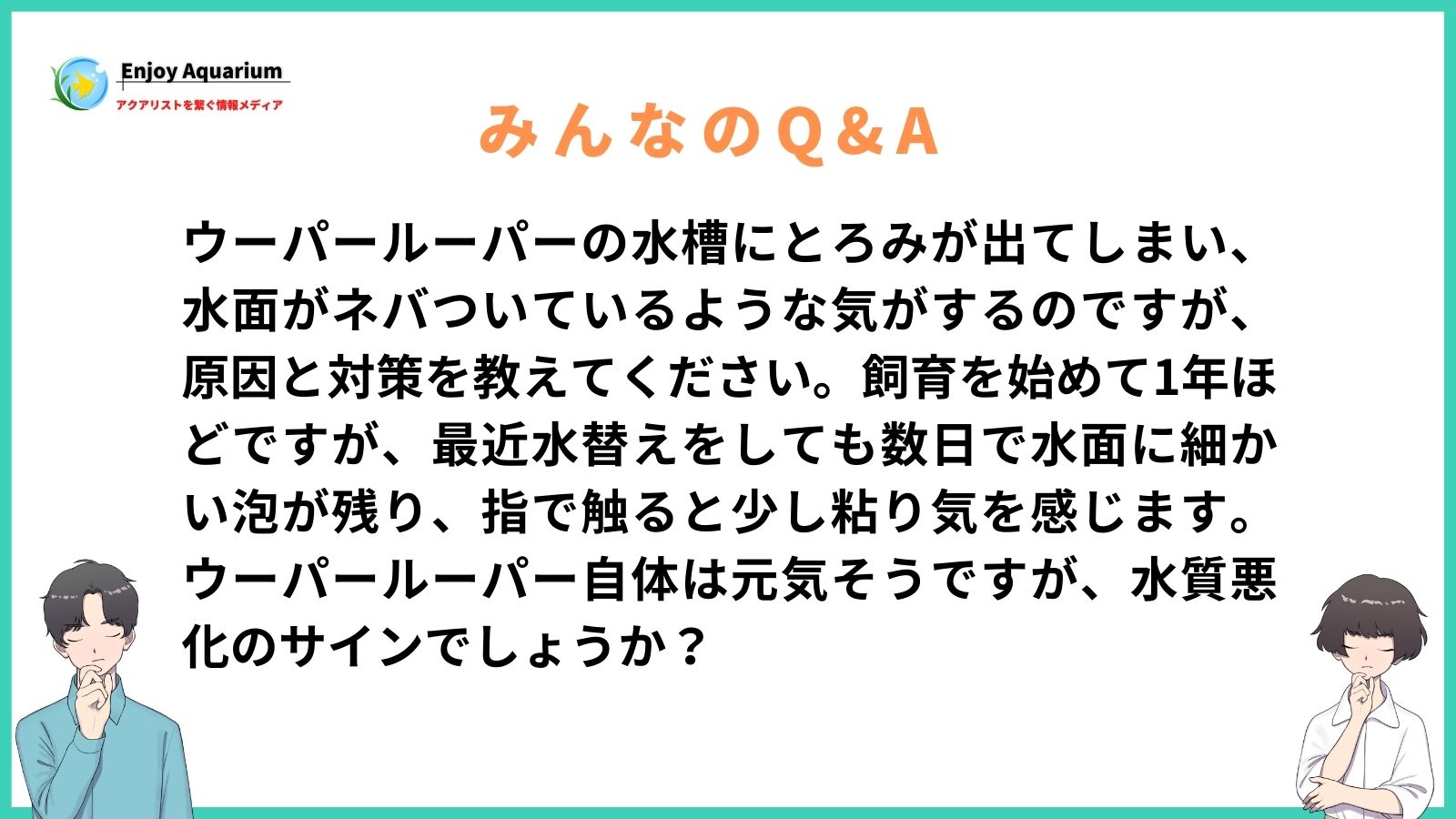 ウーパールーパー 水槽 とろみ