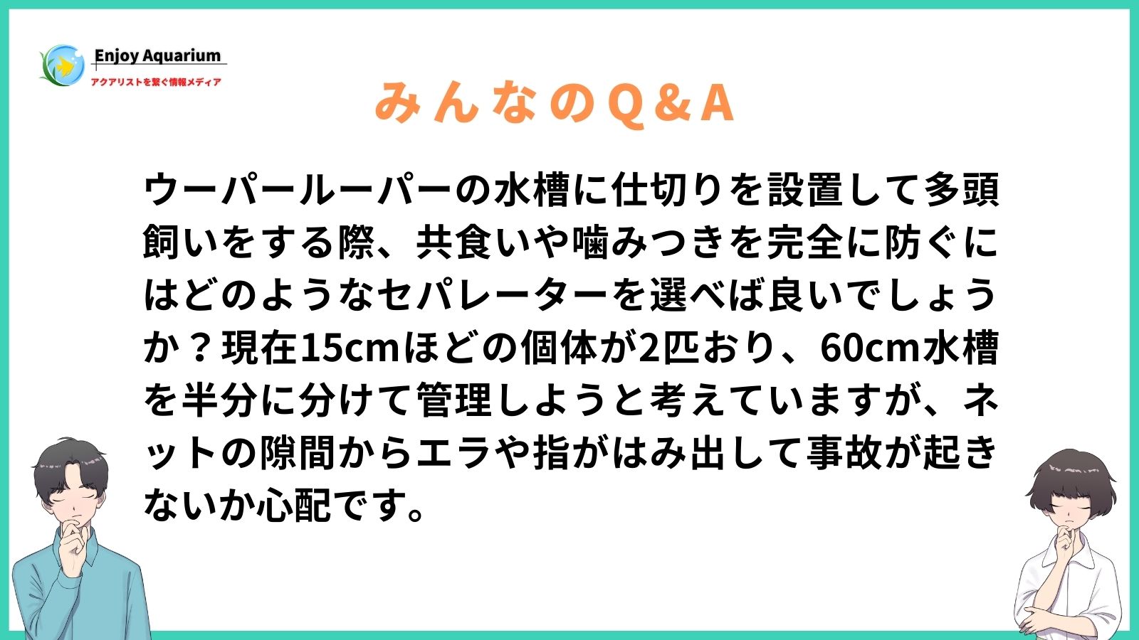 ウーパールーパー 水槽 仕切り