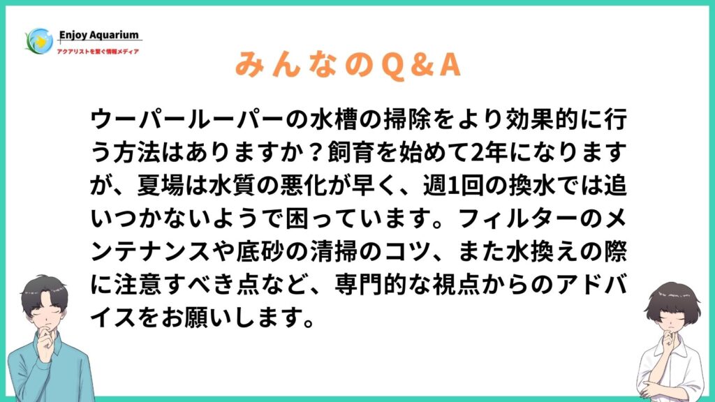 ウーパールーパー 水槽掃除
