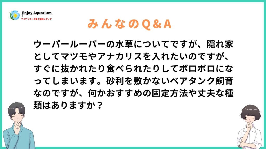 ウーパールーパー 水草