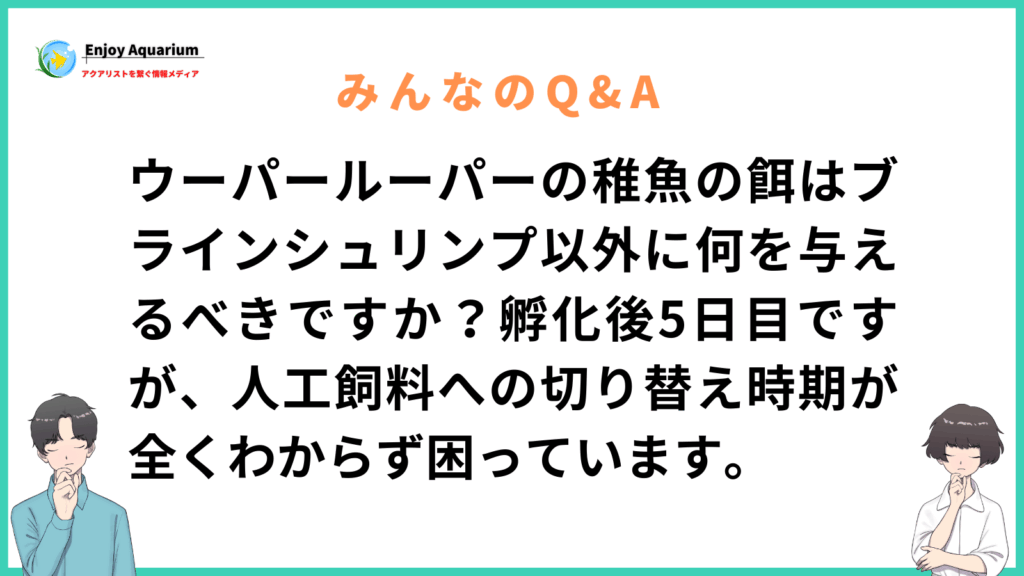 ウーパールーパー 稚魚 餌