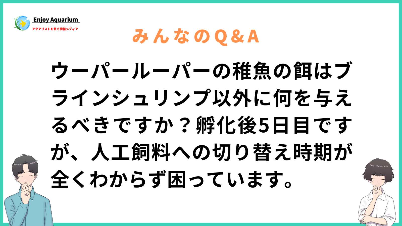 ウーパールーパー 稚魚 餌