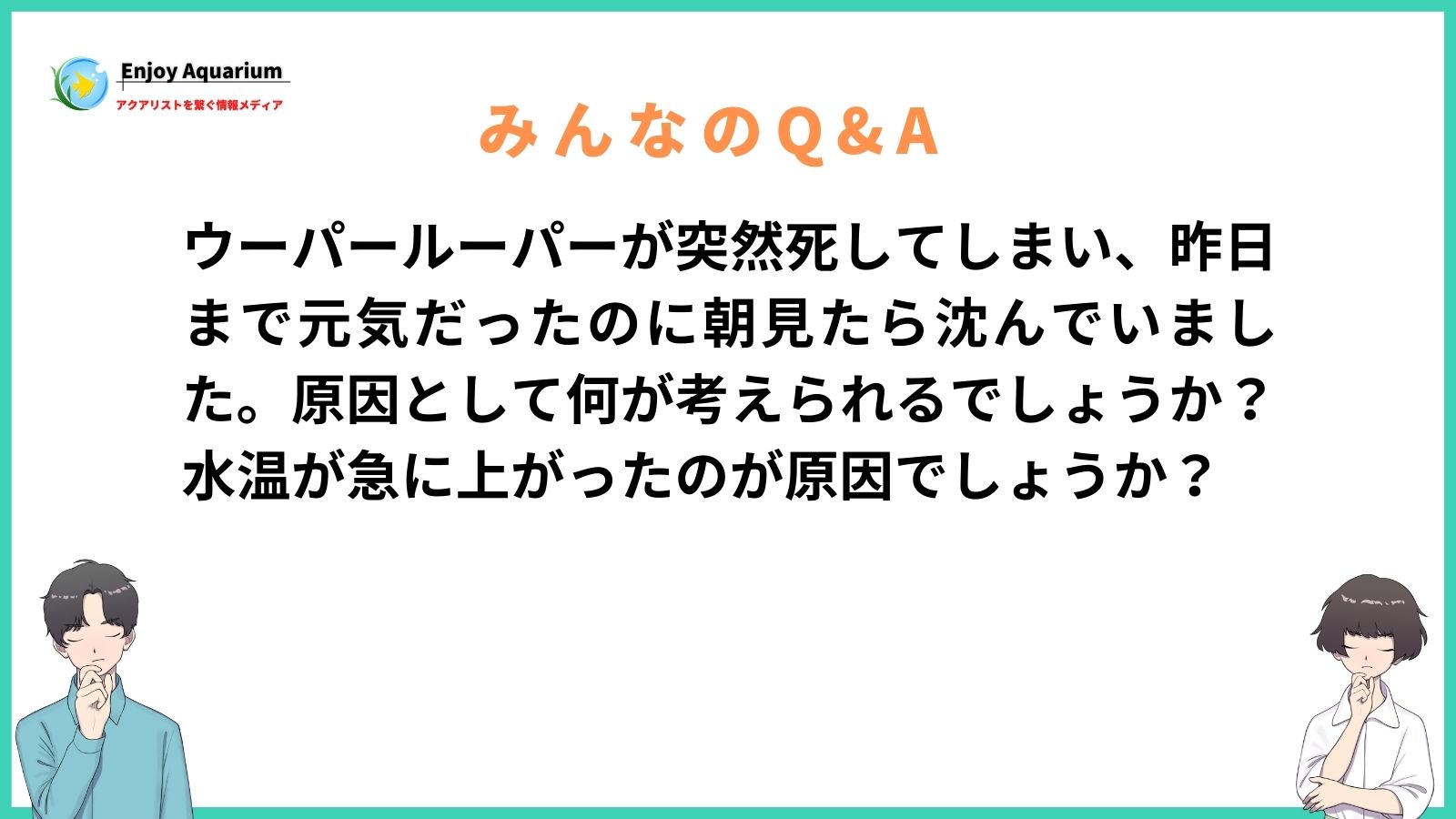 ウーパールーパー 突然死