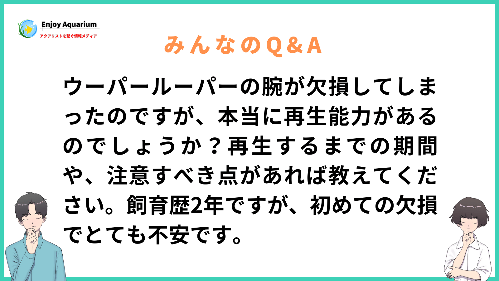 ウーパールーパー 腕 再生