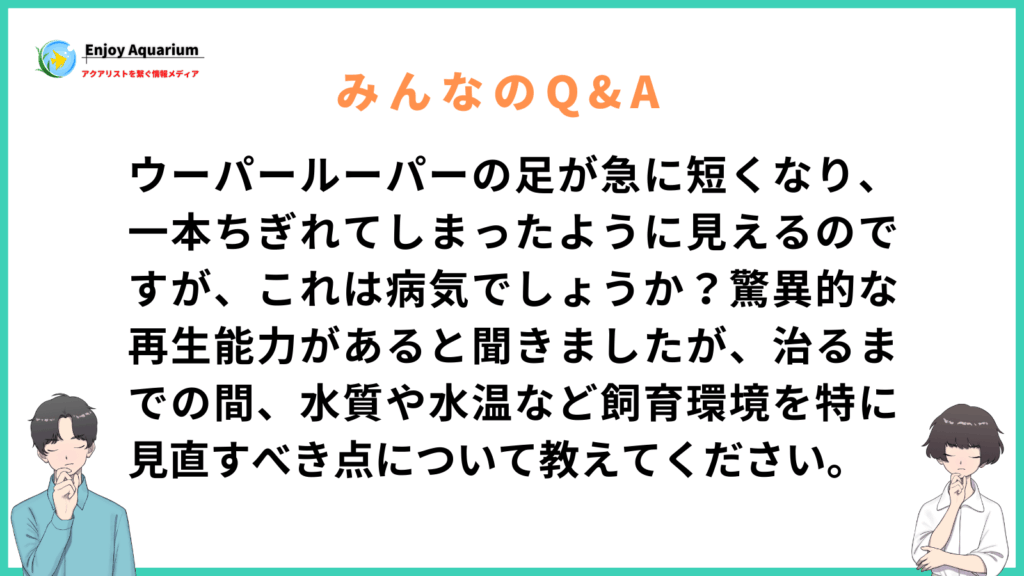 ウーパールーパー 足