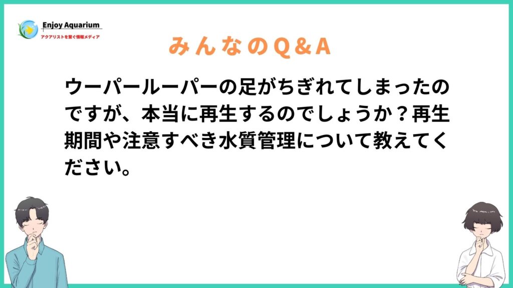 ウーパールーパー 足 再生