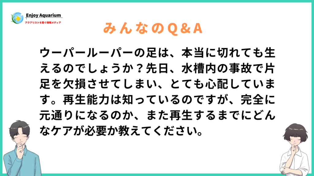 ウーパールーパー 足 生える