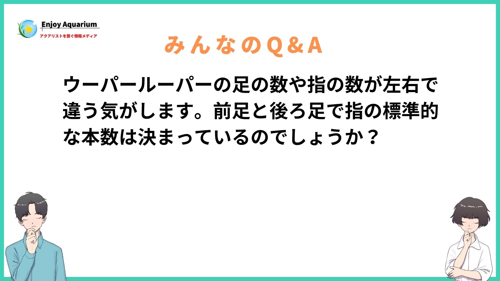 ウーパールーパー 足の数