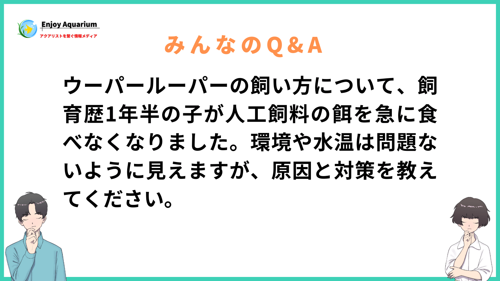 ウーパールーパー 飼い方 餌