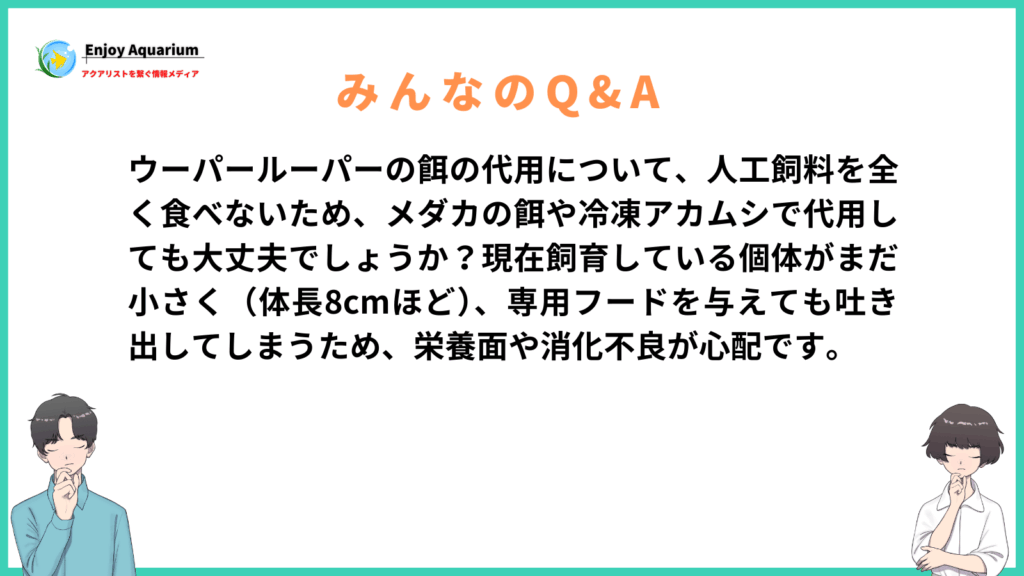 ウーパールーパー 餌 代用