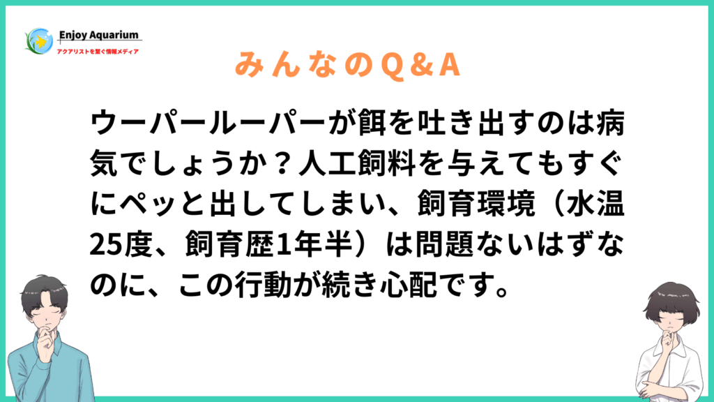 ウーパールーパー 餌 吐き出す