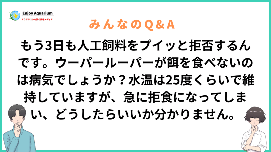 ウーパールーパー 餌 食べない