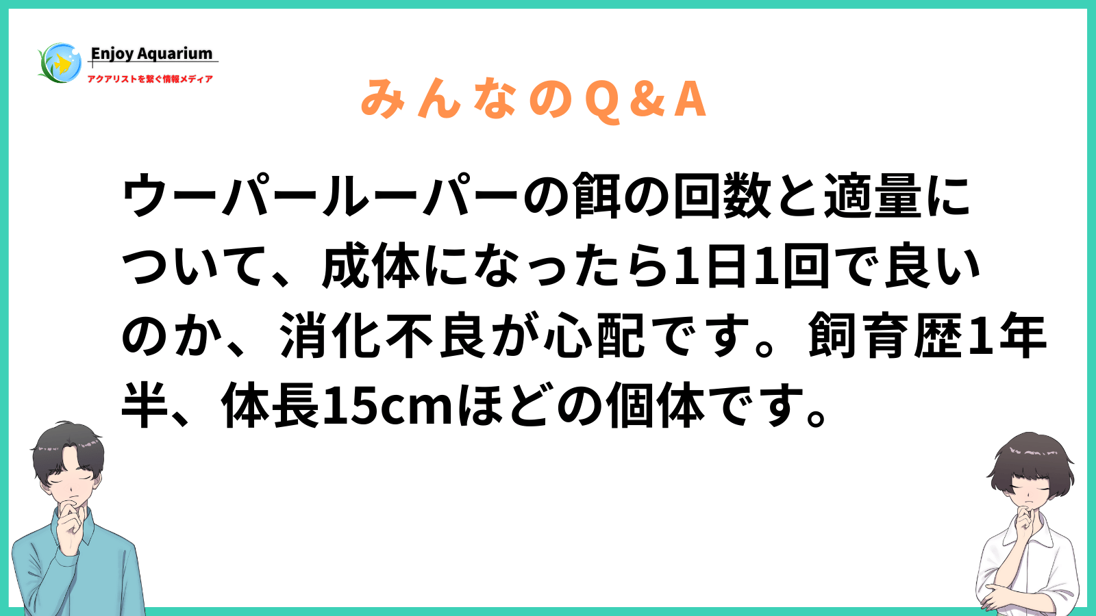 ウーパールーパー 餌の回数