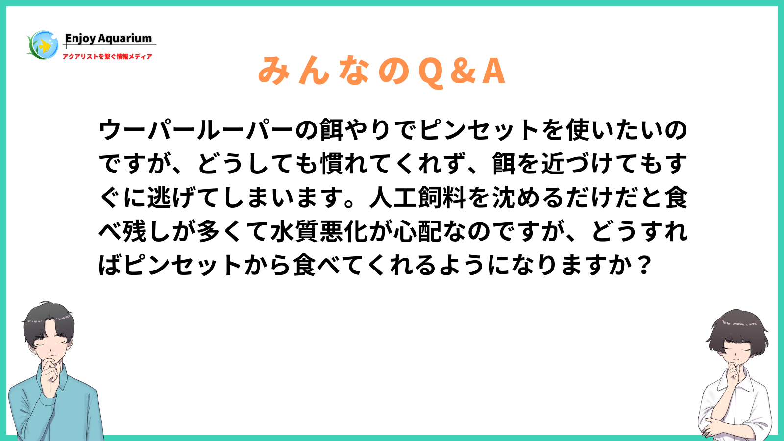 ウーパールーパー 餌やり ピンセット