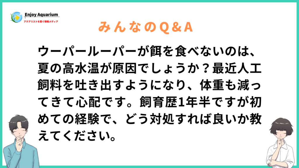 ウーパールーパーが餌を食べない