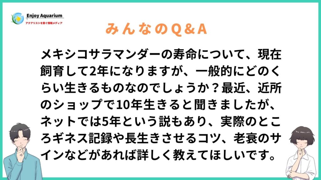 メキシコサラマンダー 寿命