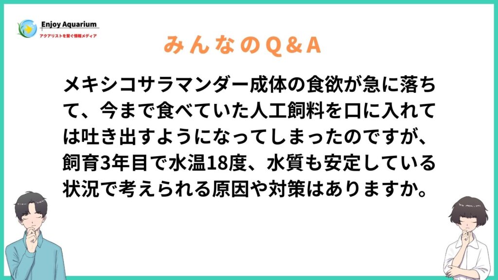 メキシコサラマンダー 食欲不振