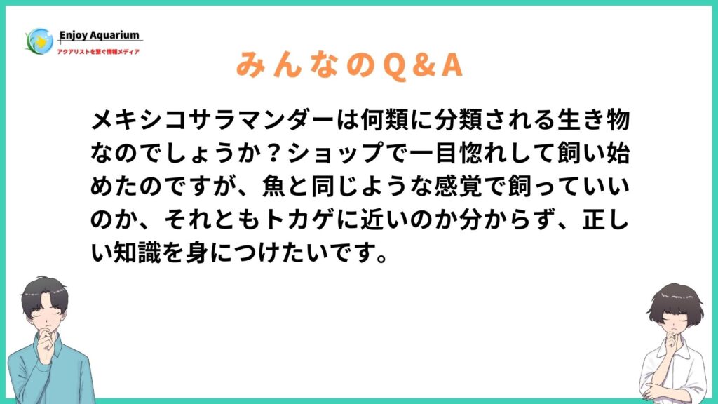 メキシコサラマンダー 何類