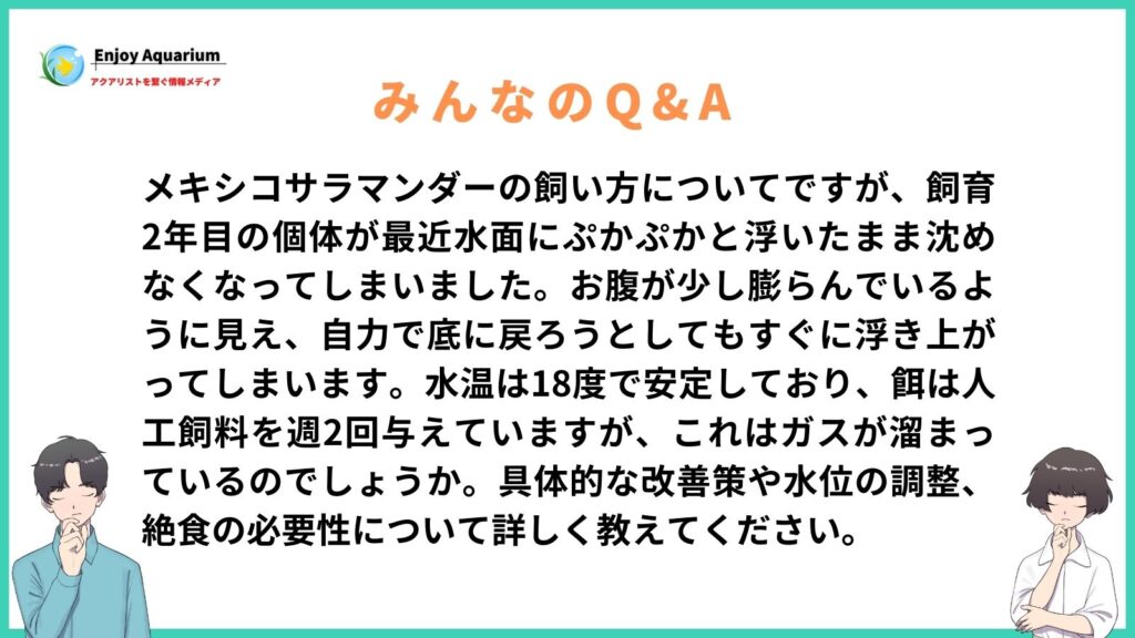 メキシコサラマンダー 飼い方