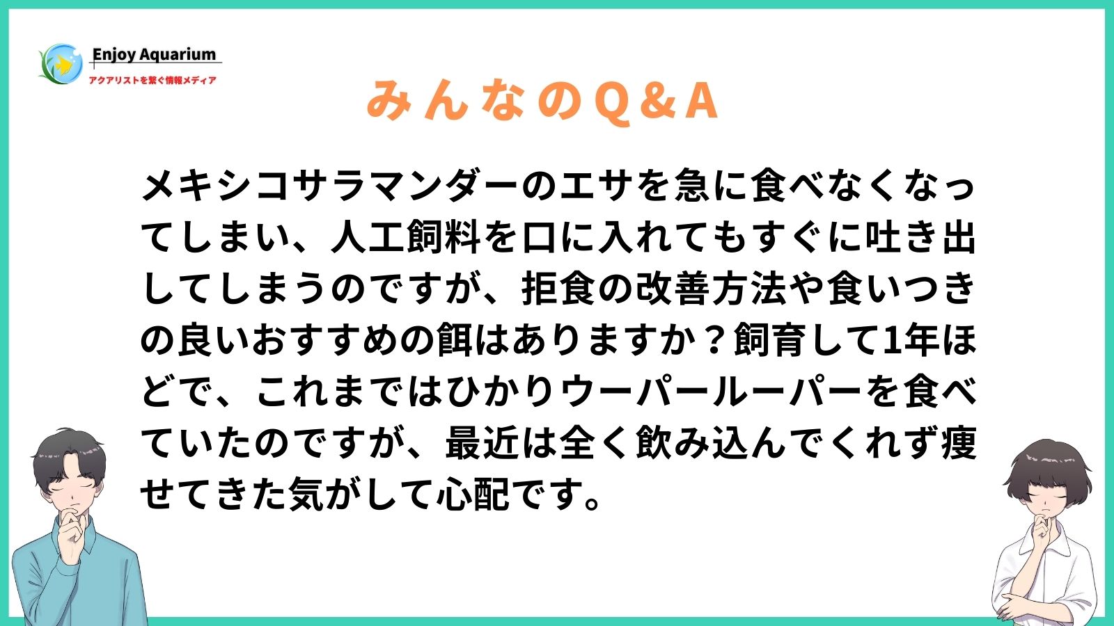 メキシコサラマンダー 餌