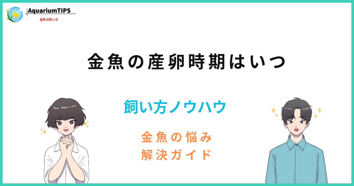 金魚の産卵時期はいつ?金魚の産卵を成功させるためのポイント