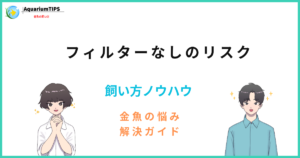 金魚をフィルターなしで飼育するリスクとデメリット