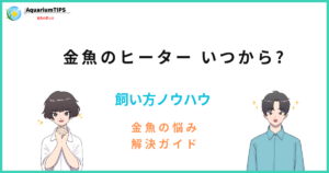 金魚にヒーターは必要?いつから使うか