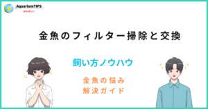 金魚のフィルターの掃除と交換の目安
