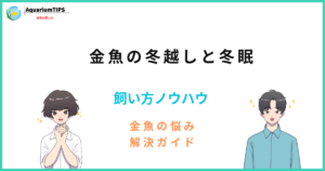金魚の冬越し方法と冬眠の注意点